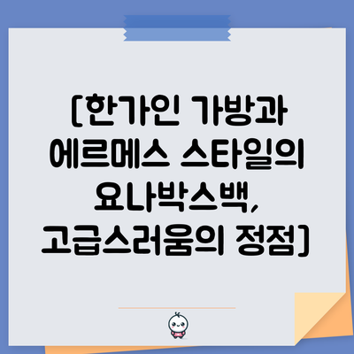 [한가인 가방과 에르메스 스타일의 요나박스백, 고급스러움의 정점]
