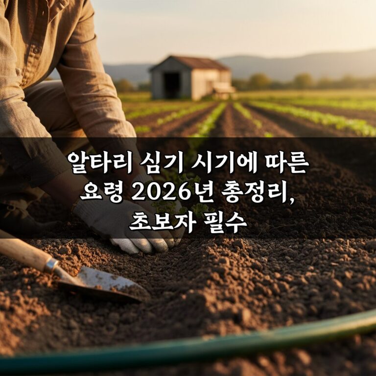 알타리 심기 시기에 따른 요령 2026년 총정리, 초보자 필수