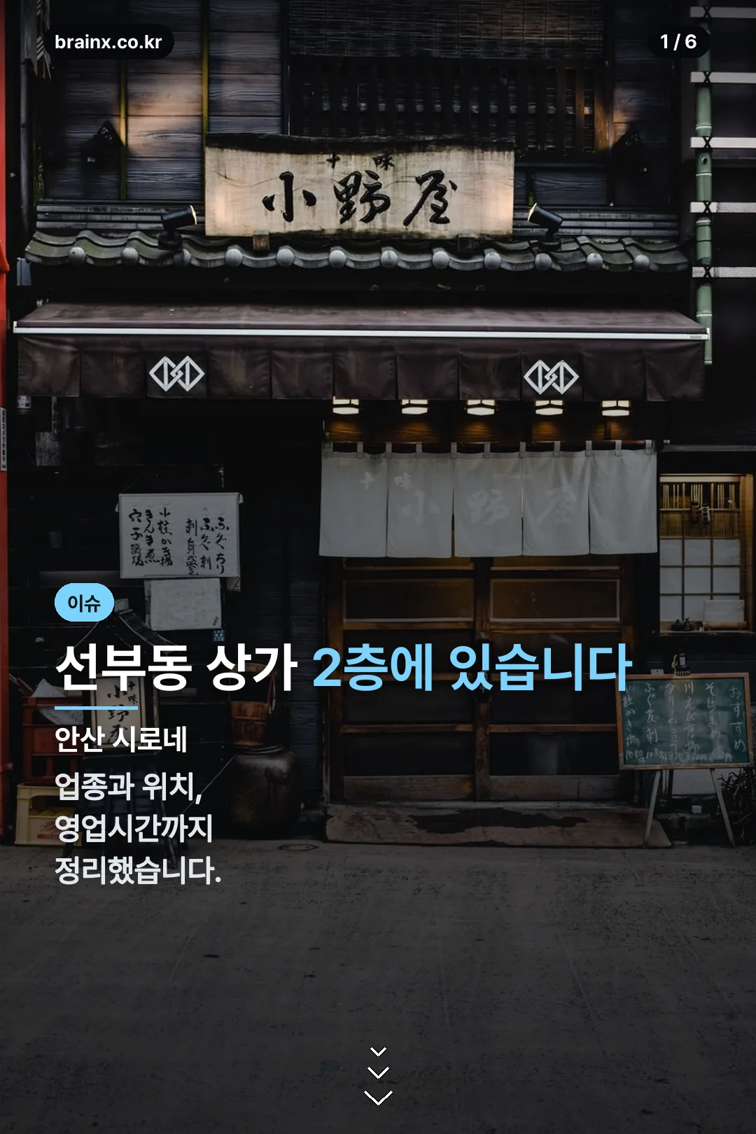 안산 시로네 표지