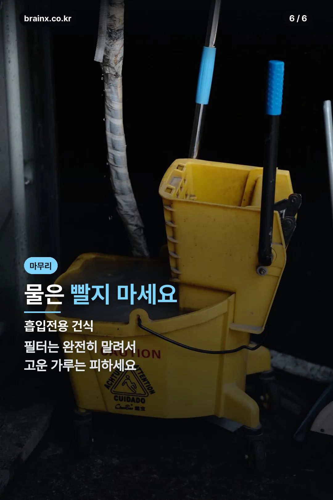 관리 주의사항