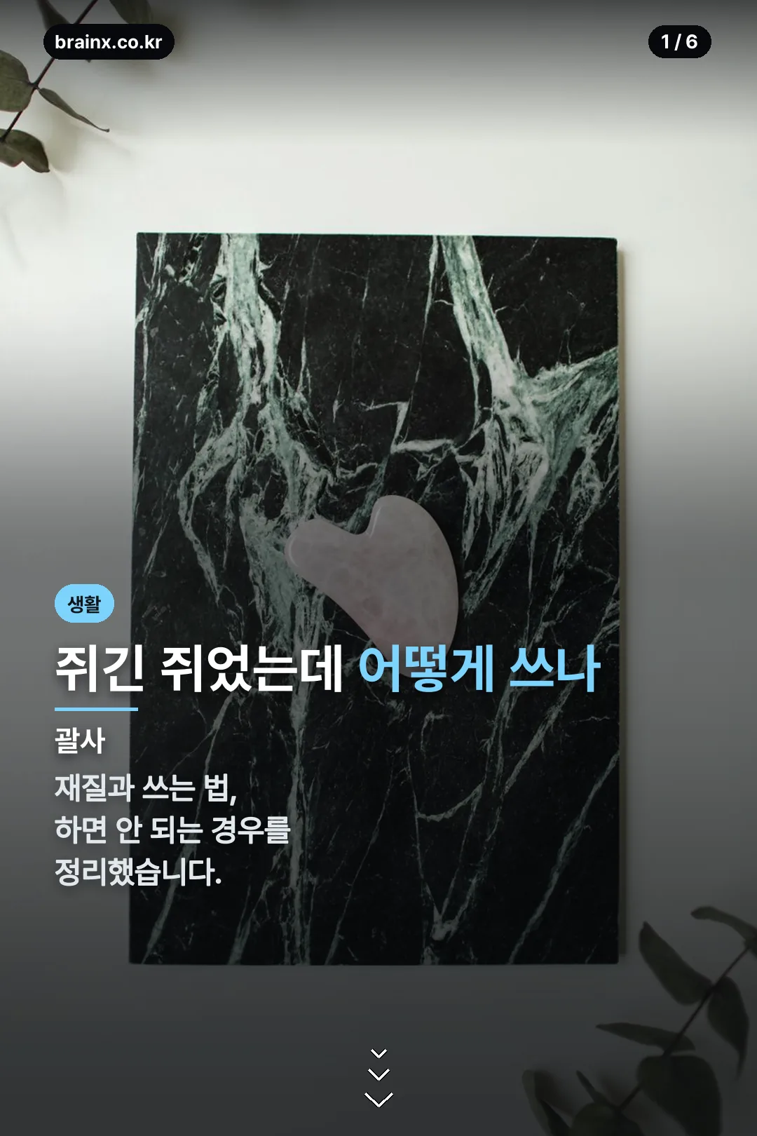 괄사 표지