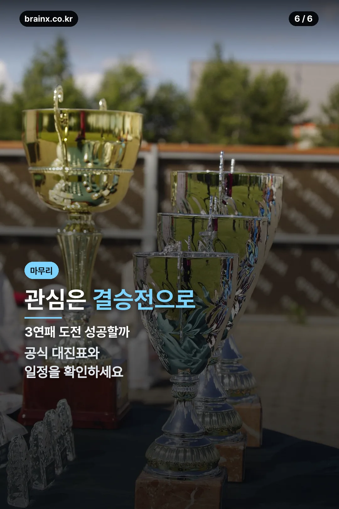 결승전 관심 마무리