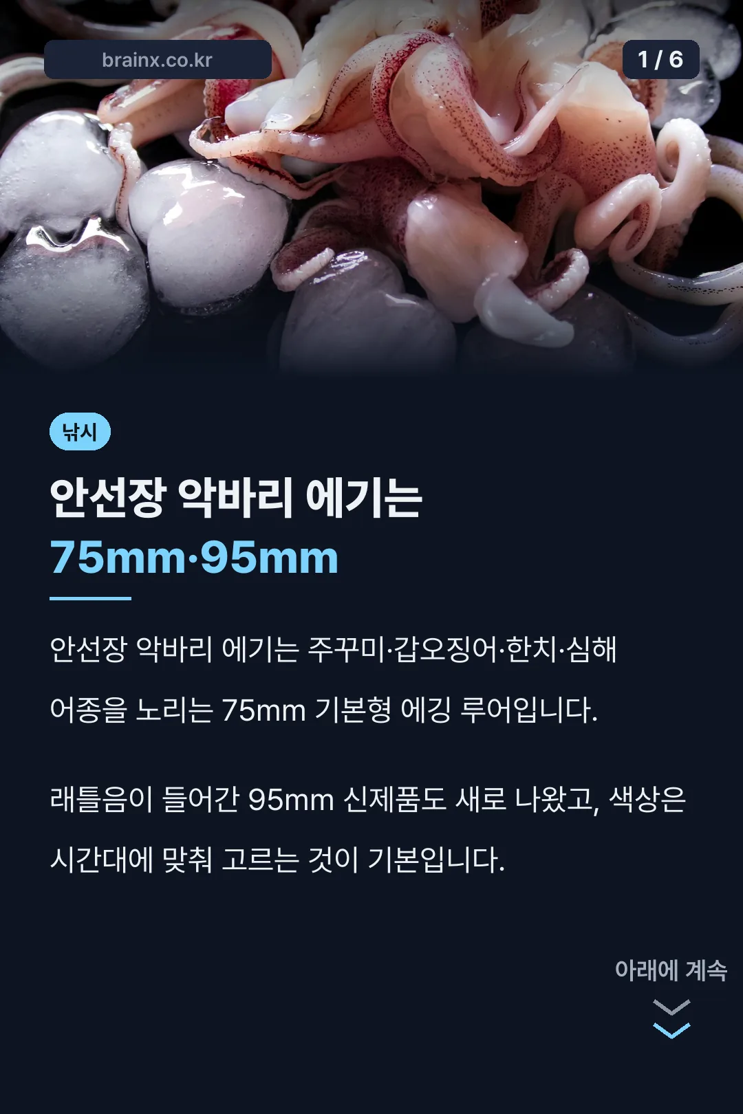안선장 악바리 에기는 75mm·95mm