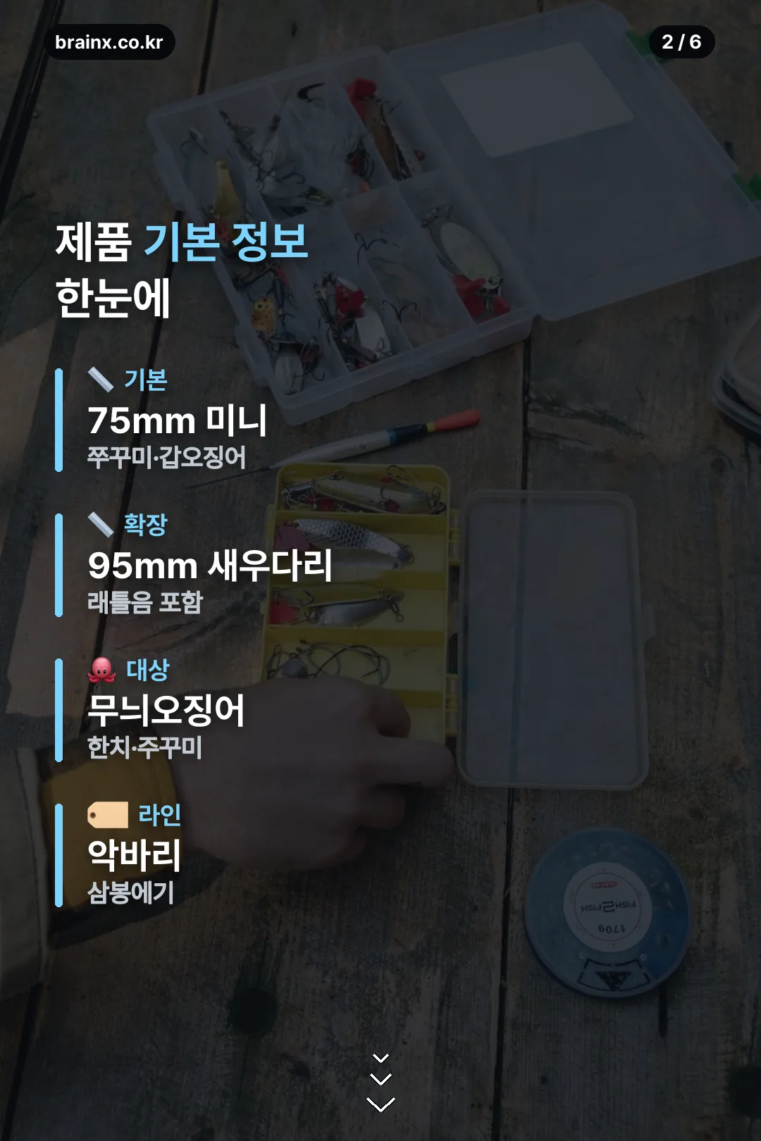제품 기본 정보