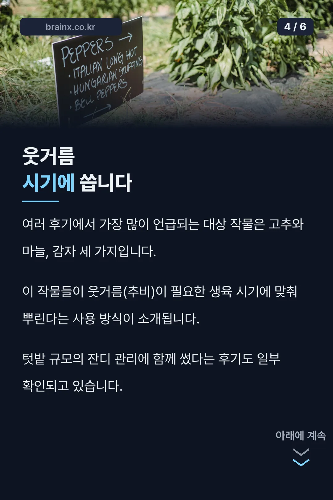 웃거름 시기