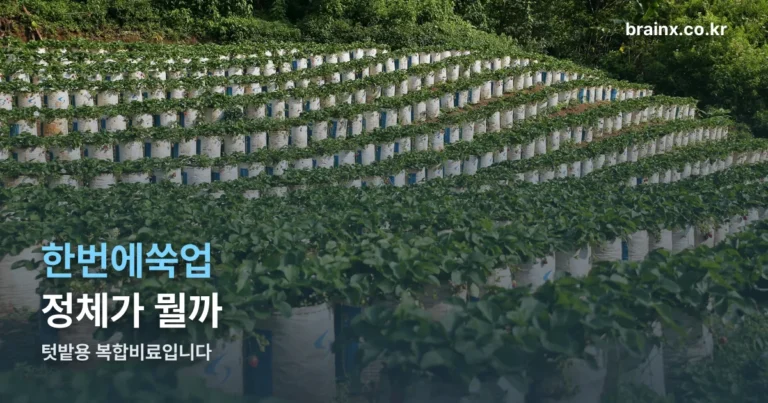 한번에쑥업 — 성분과 대상작물로 알아보는 웃거름 복합비료 정체
