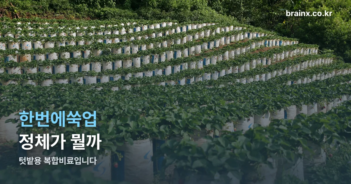 한번에쑥업 정리 썸네일