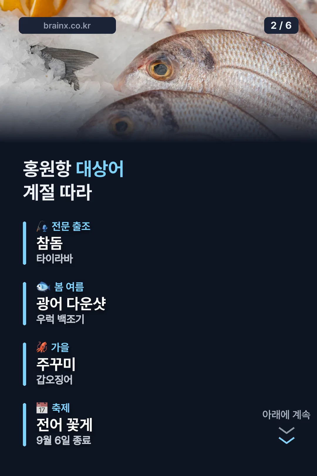 홍원항 계절별 대상어