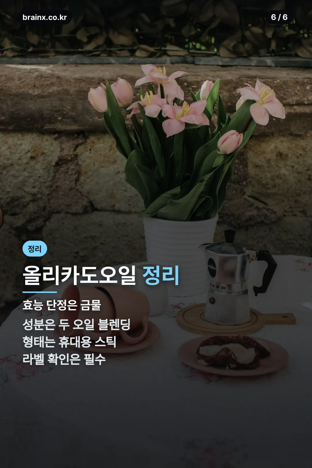 올리카도오일 정리