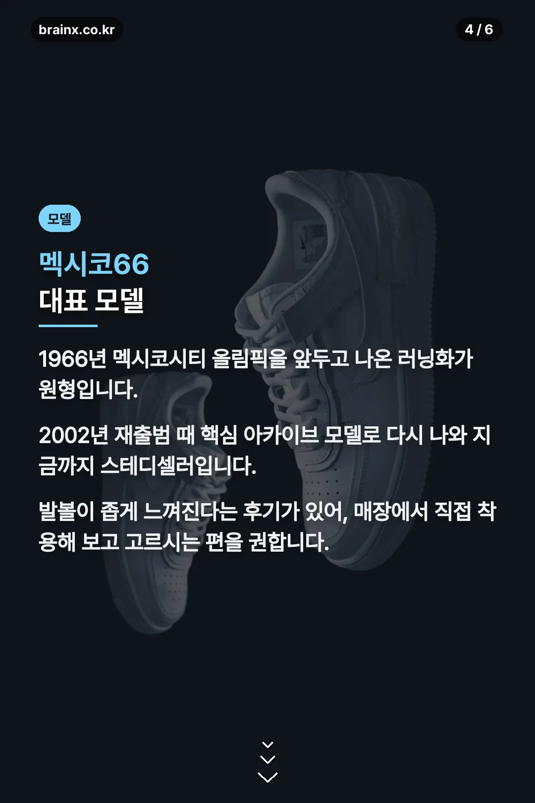 멕시코66 대표 모델