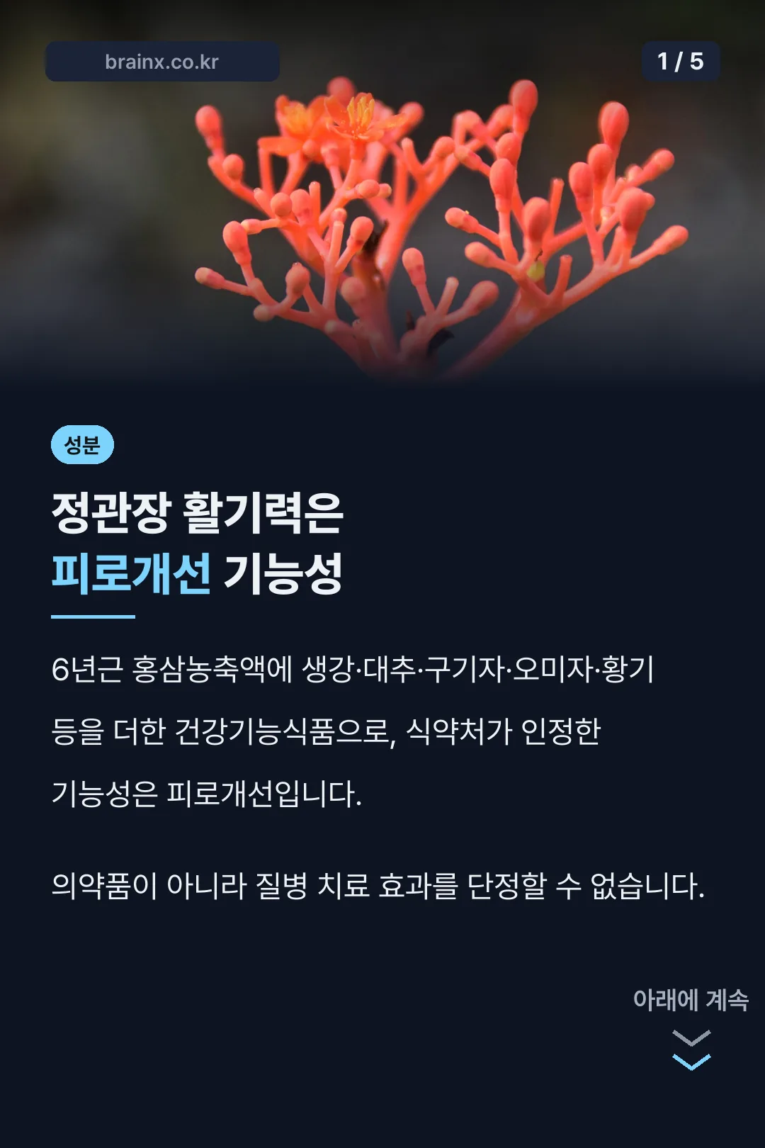 정관장 활기력 기능성 요약