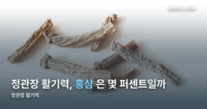 정관장 활기력 성분과 기능성 — 식약처 인정 범위까지만 정리