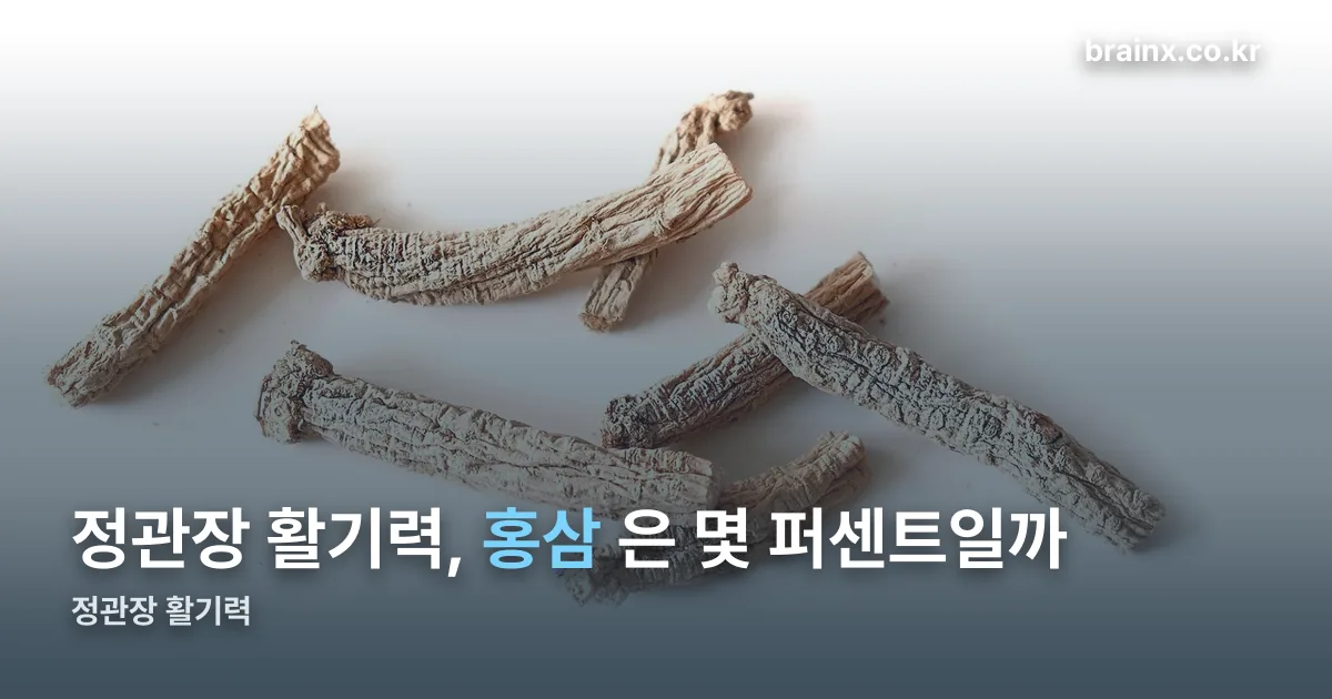 정관장 활기력 정리 썸네일