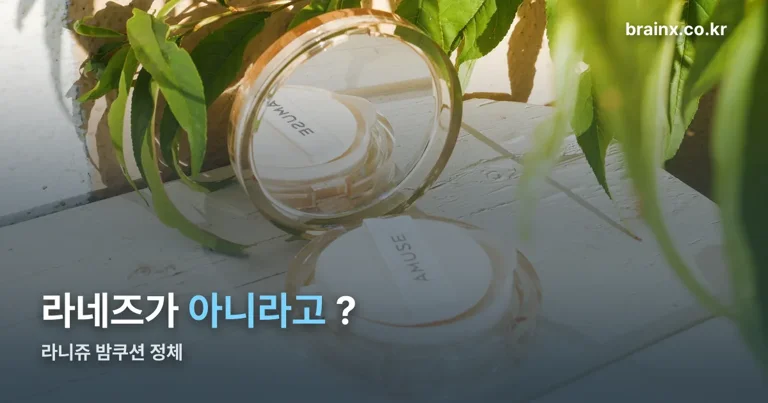 라니쥬밤쿠션 정리 썸네일