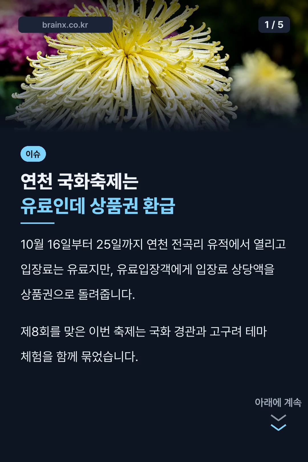 연천 국화축제 핵심 정리